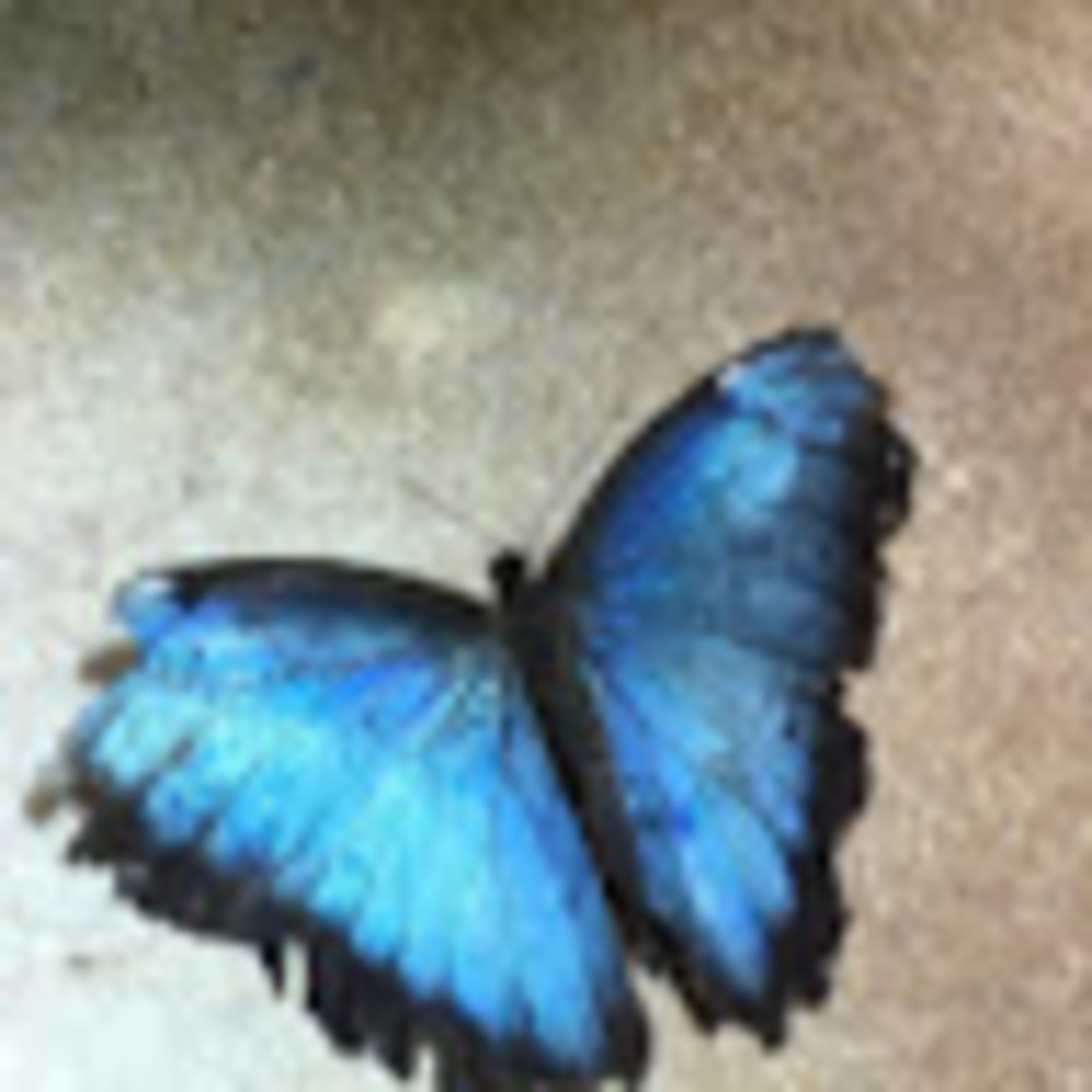 Meet your Posher, Ana